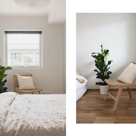 New! With Roof Terrace! *